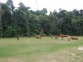 Tn DSC 6426